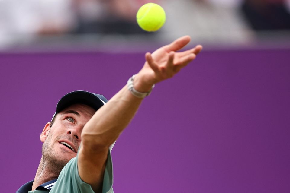 从篮球到文 从篮球到文